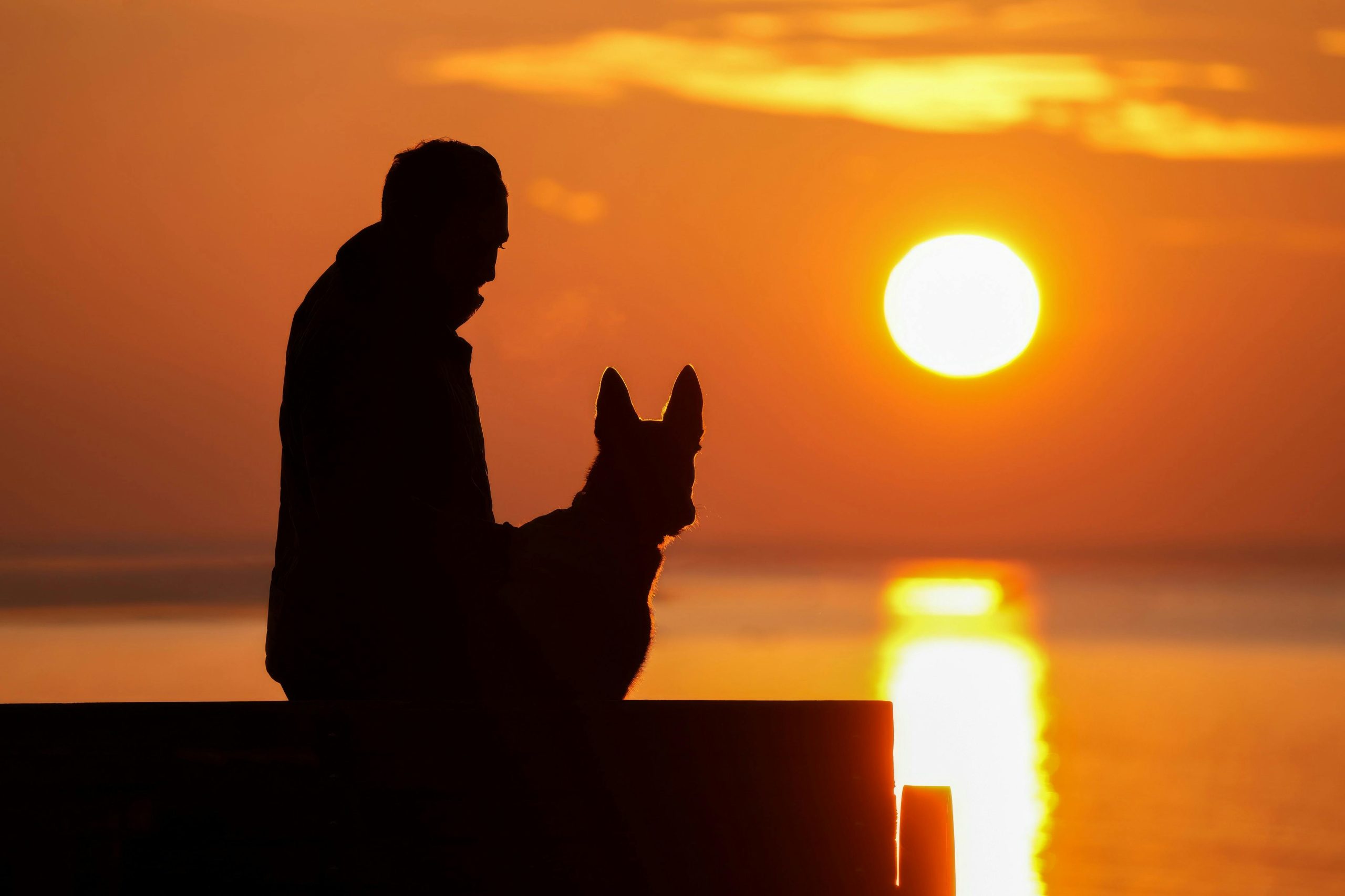 Silhouette of a man with a dog at sunset by the sea, creating a serene and contemplative atmosphere.