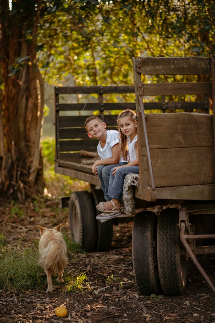 Two children sitting on an old wagon in a natural outdoor setting with a dog nearby.
